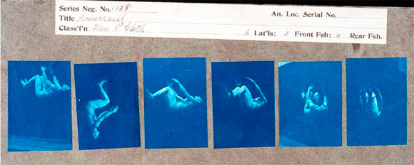 Acróbata de Muybridge